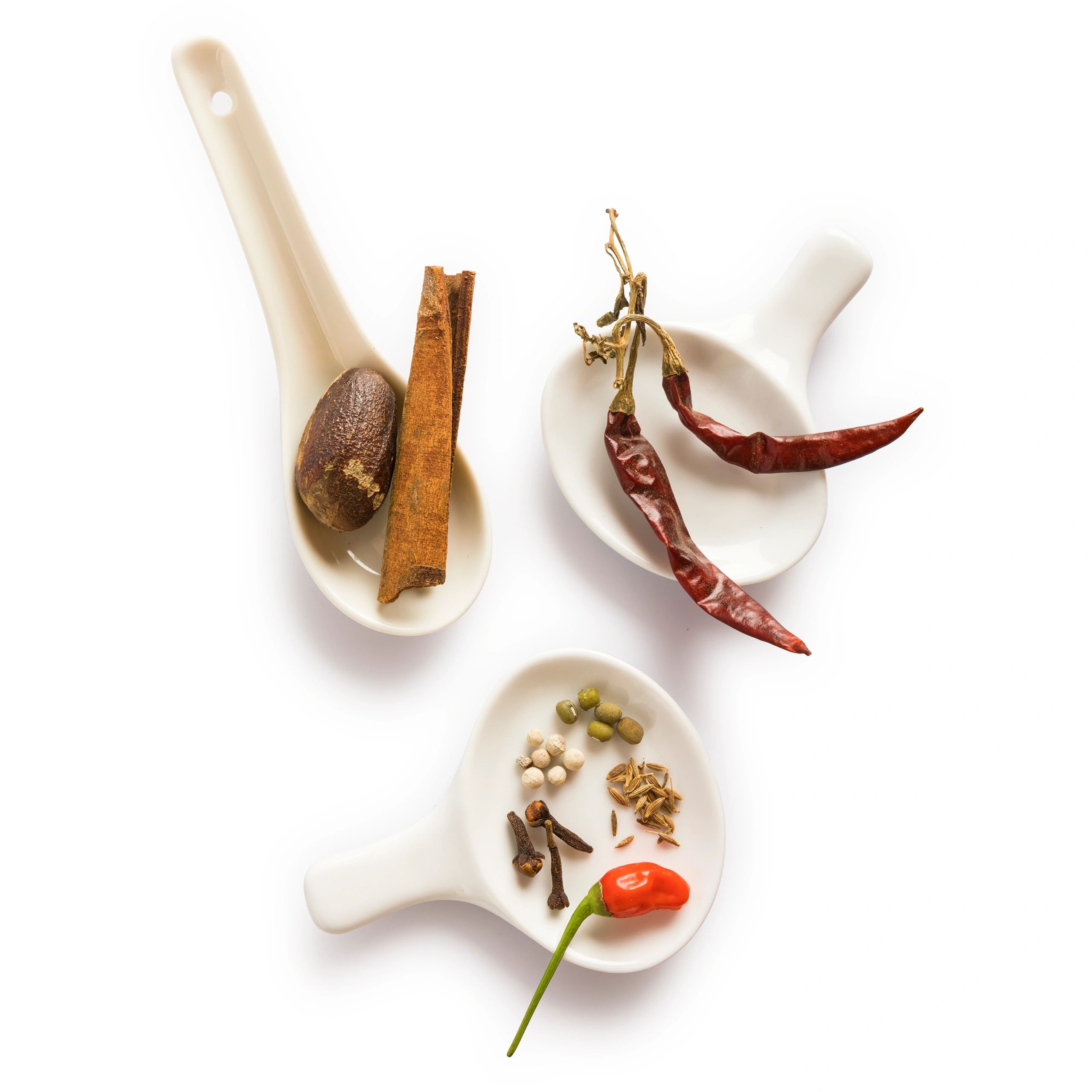 Spices and herbs in bowls on white background